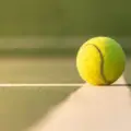 The Evolution of Tennis Balls: A Fascinating Journey | Kuku