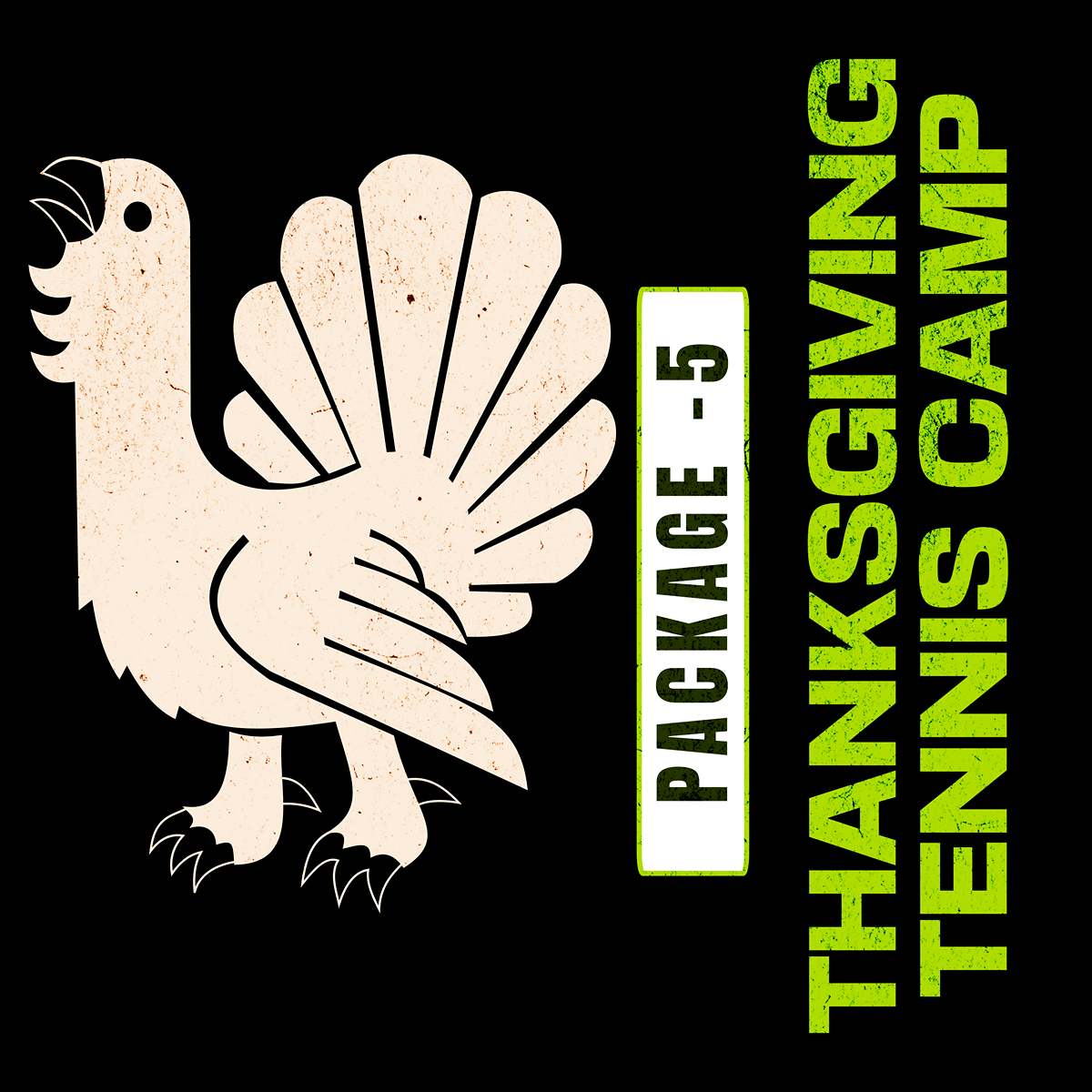 Thanksgiving Tennis Camp Package - 5